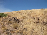 rrente Quarantore-20110911 158